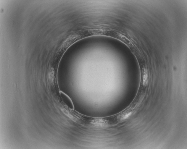 X0000060740231200511141141