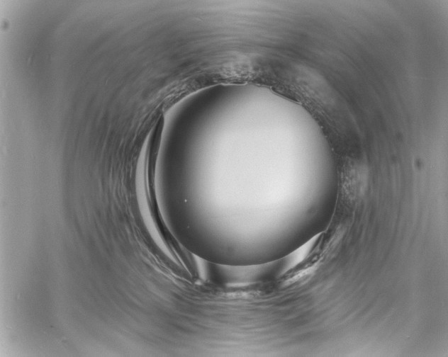 X0000060740233200511141141