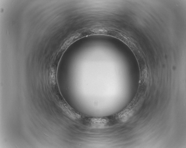 X0000060740234200511141141