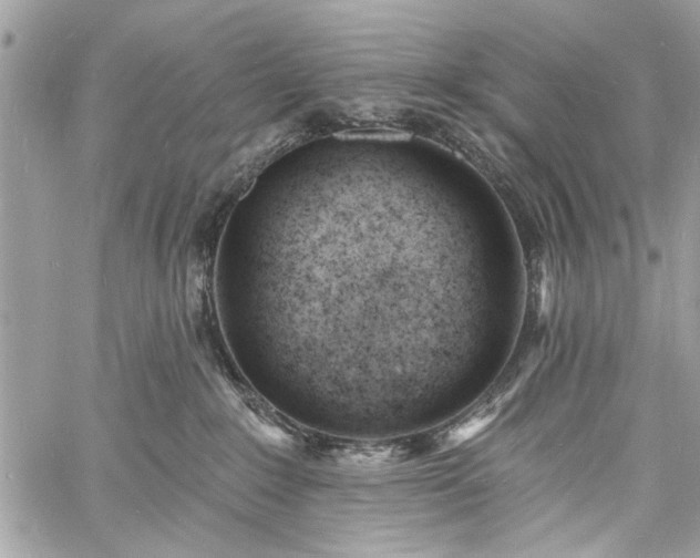 X0000060740235200511141141