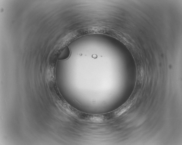 X0000060740236200511141141