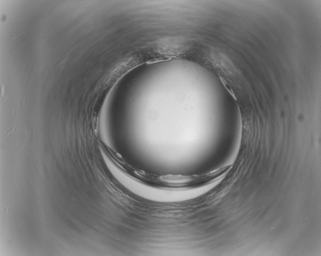 X0000060740237200511141141