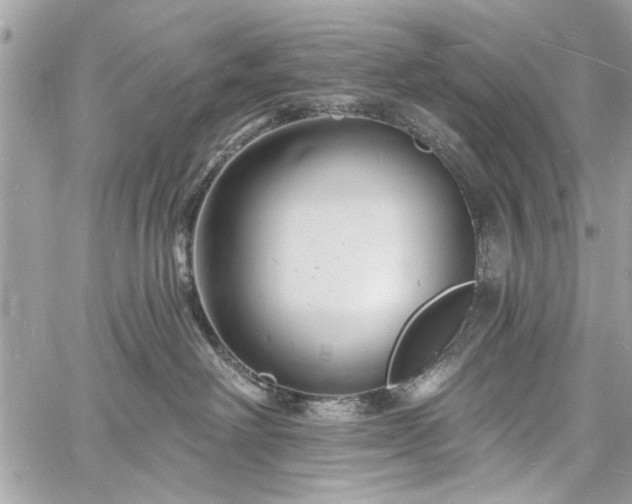 X0000060740238200511141141