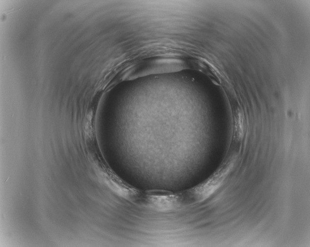 X0000060740239200511141141