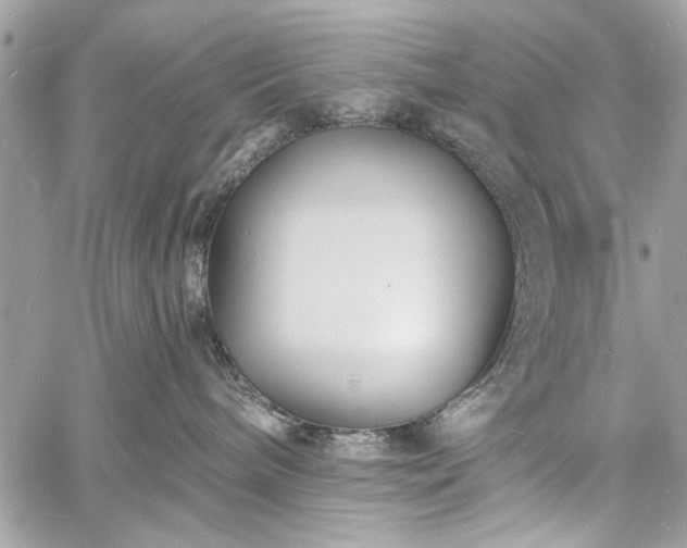 X0000060740240200511141141