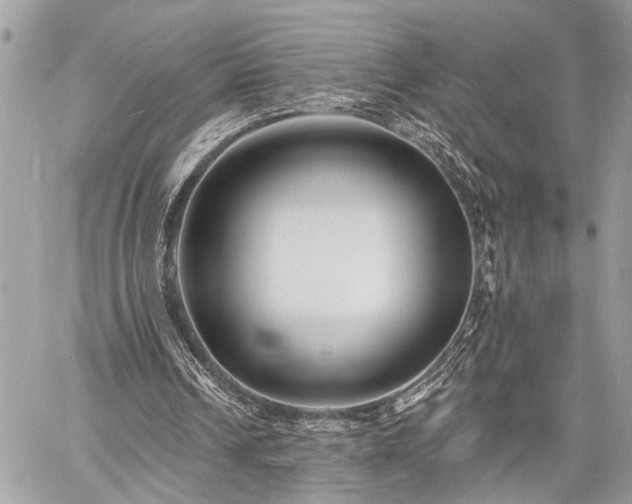 X0000060740242200511141140