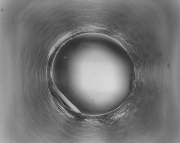 X0000060740244200511141140