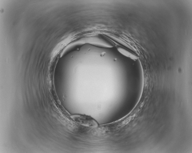 X0000060740245200511141140