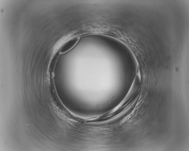 X0000060740246200511141140