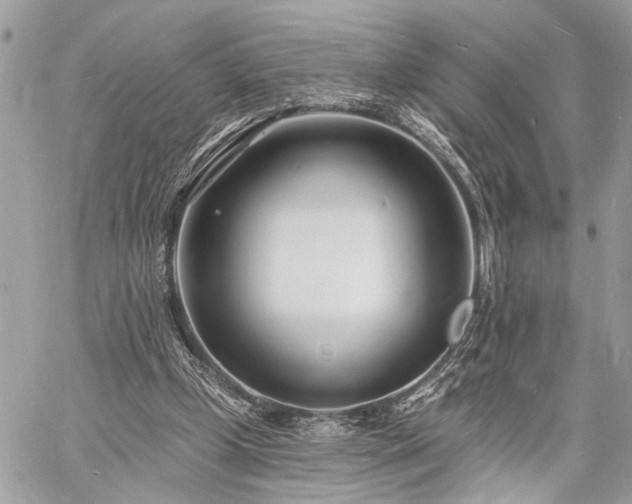 X0000060740249200511141140