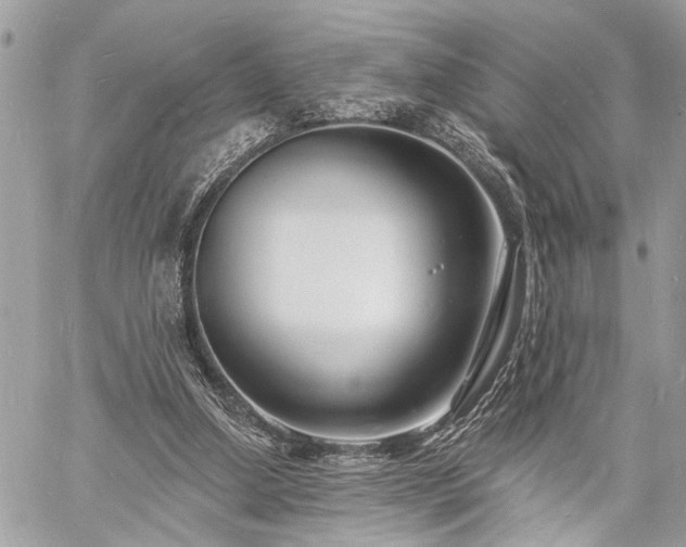 X0000060740250200511141140