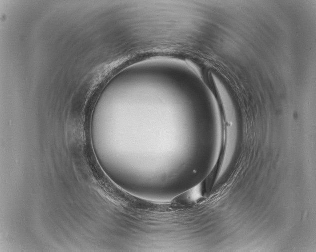 X0000060740252200511141140