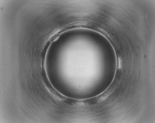 X0000060740253200511141140