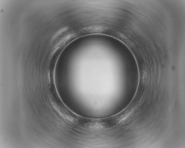 X0000060740254200511141140