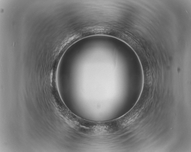 X0000060740255200511141140