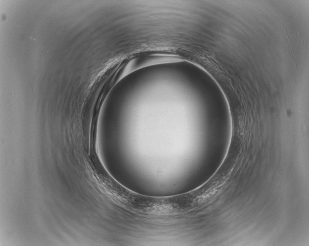 X0000060740256200511141140