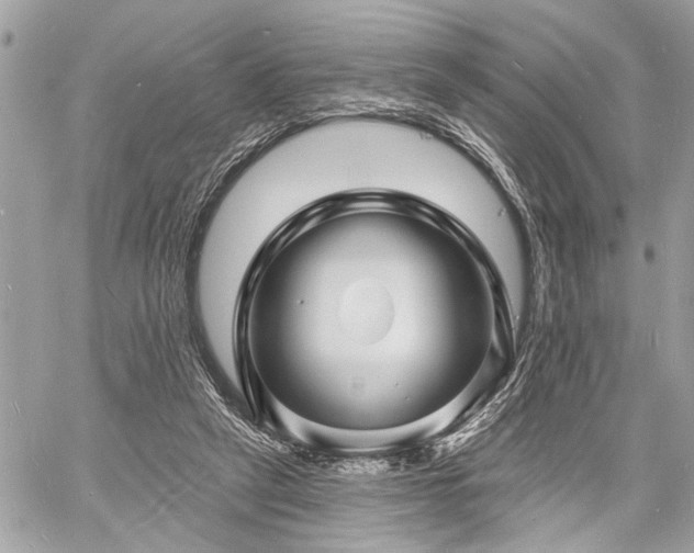 X0000060740257200511141140