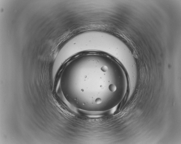 X0000060740261200511141140