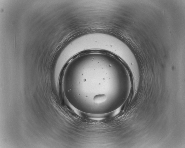 X0000060740262200511141140