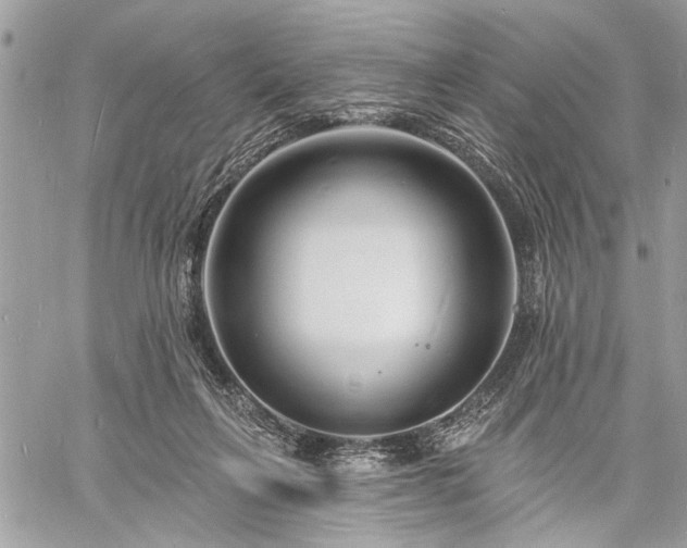 X0000060740263200511141140