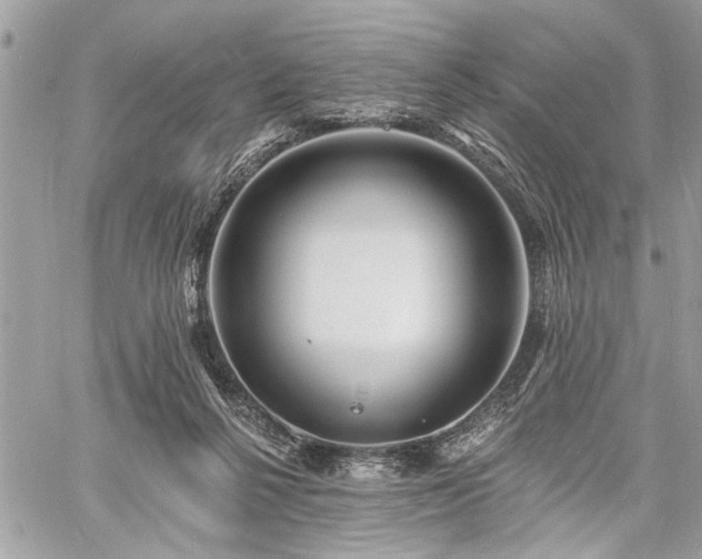 X0000060740264200511141140