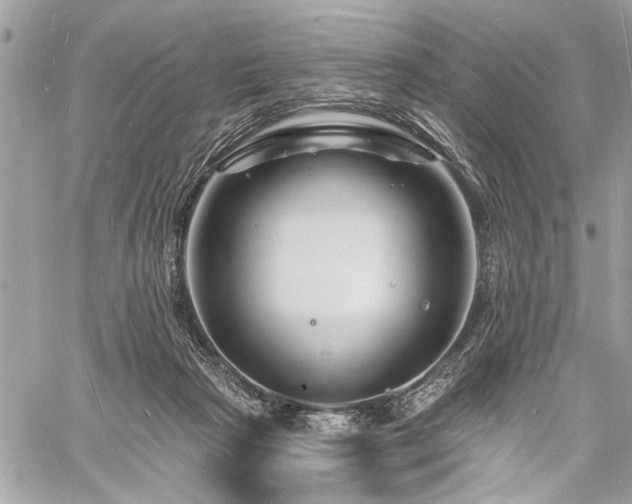 X0000060740265200511141140