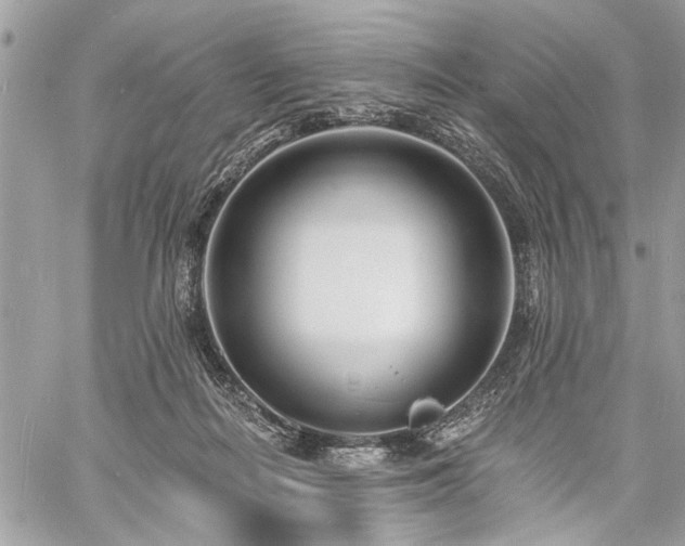 X0000060740266200511141140