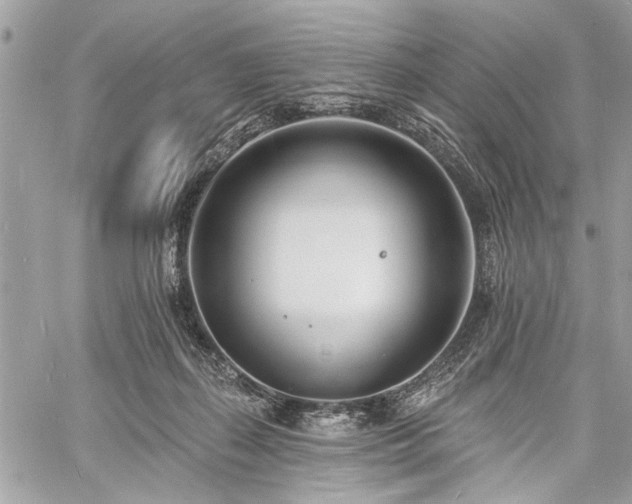 X0000060740267200511141140