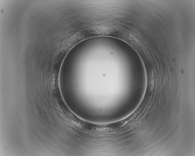 X0000060740268200511141140