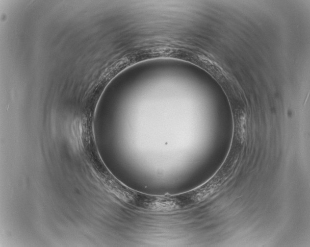 X0000060740270200511141140