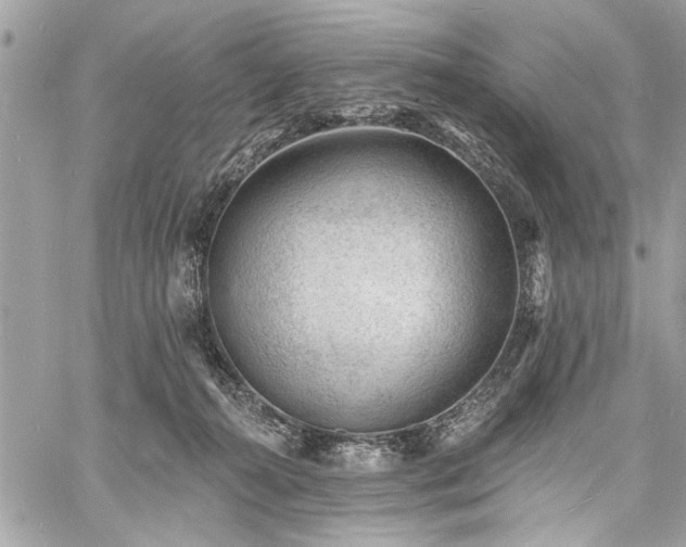 X0000060740272200511141141