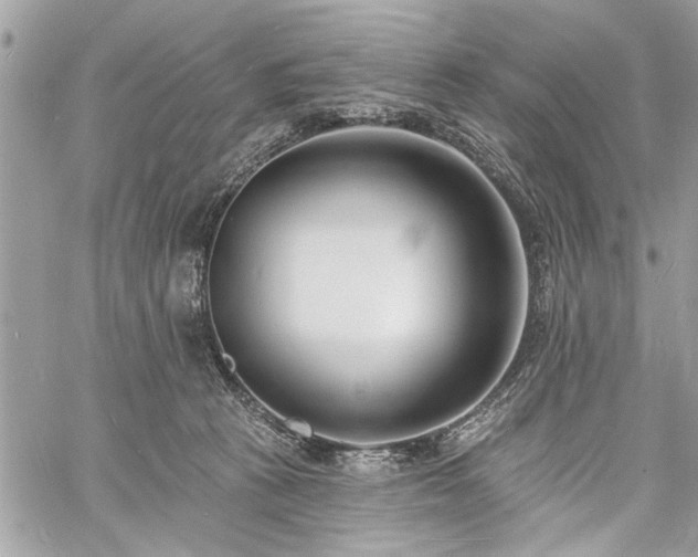 X0000060740273200511141141