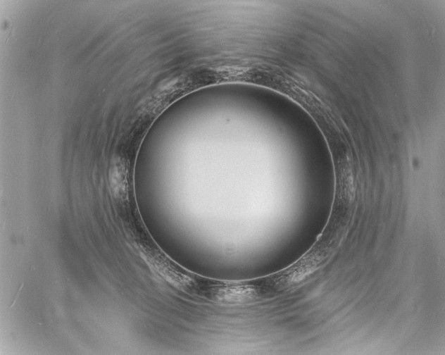 X0000060740274200511141141