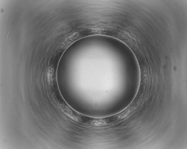 X0000060740275200511141141