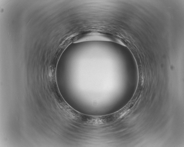 X0000060740276200511141141