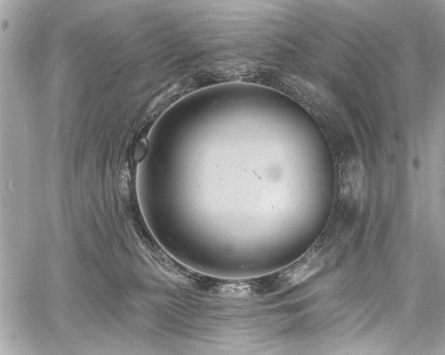 X0000060740279200511141141