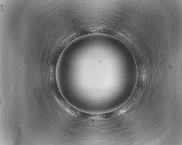 X0000060740280200511141141