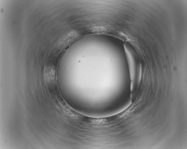 X0000060740281200511141141