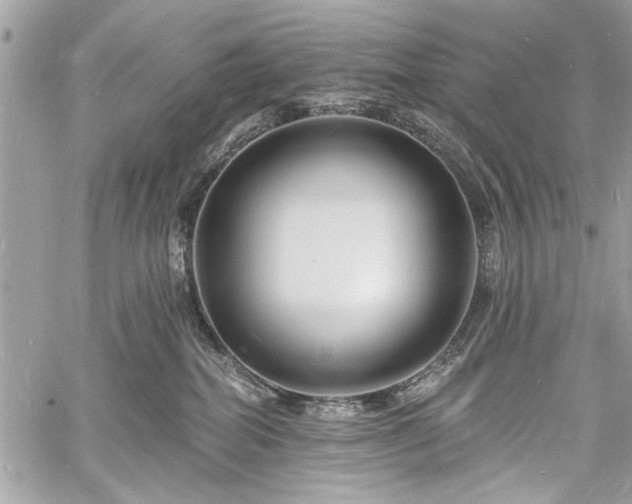 X0000060740282200511141141