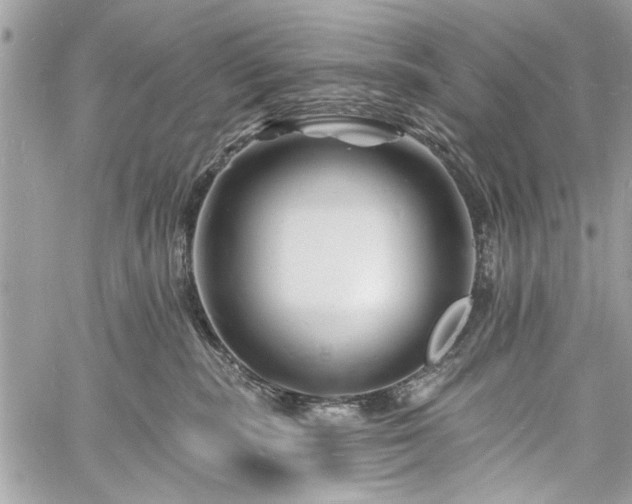 X0000060740283200511141141