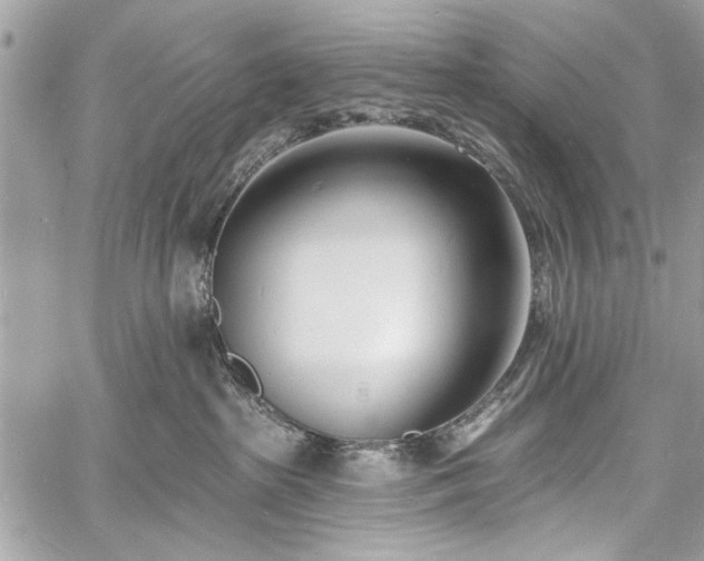 X0000060740285200511141141