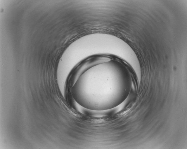 X0000060740287200511141141