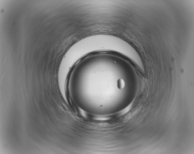 X0000060740288200511141141