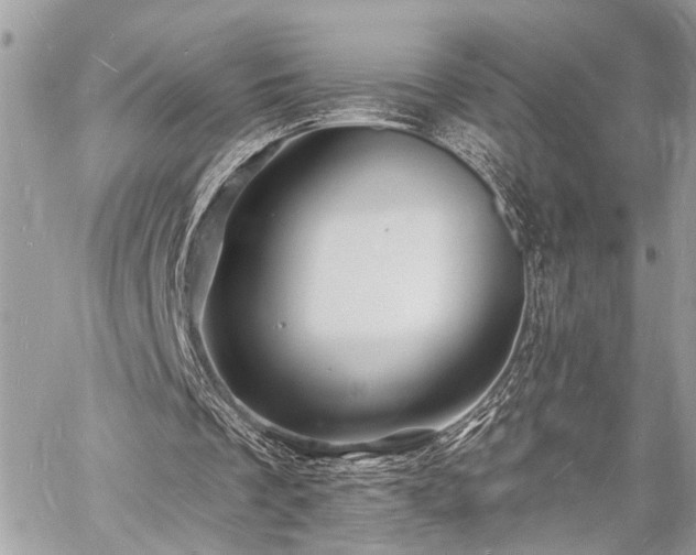 X0000060740289200511141140