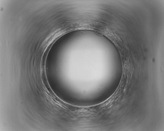 X0000060740290200511141140