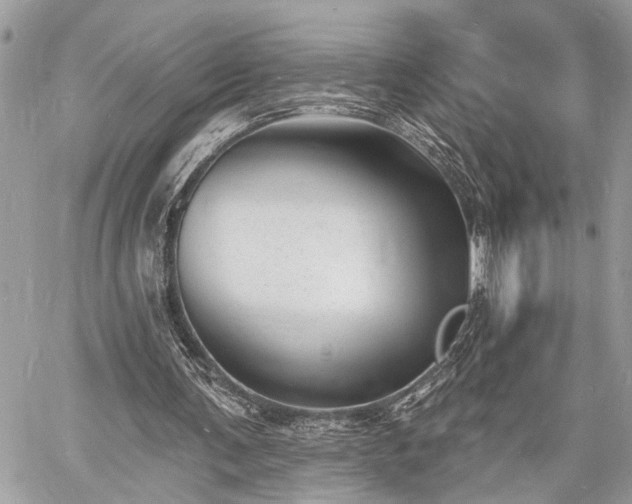 X0000060740291200511141140