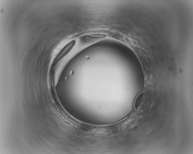 X0000060740294200511141140