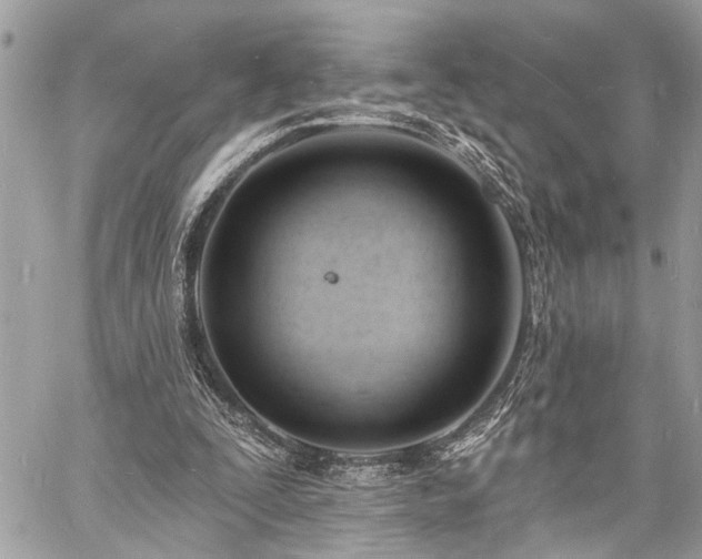 X0000060740295200511141140