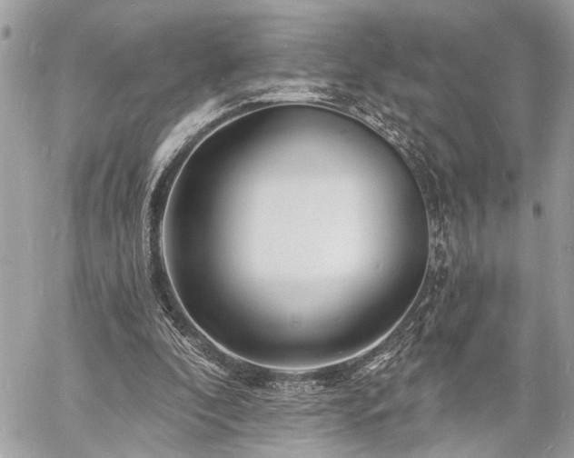 X0000060740296200511141140