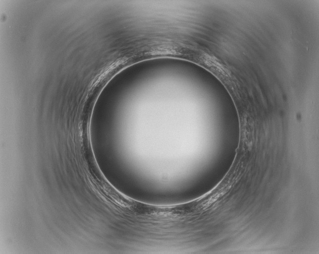 X0000060740298200511141140